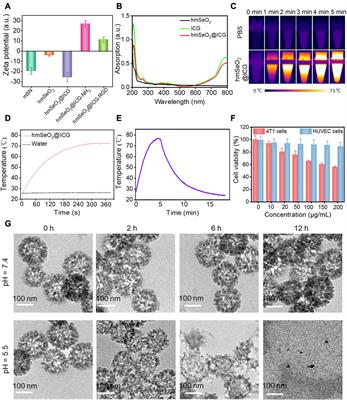 Biodegradable hollowed mesoporous SeO2 nanoplatform loaded with indocyanine green for simultaneous NIR II fluorescence imaging and synergistic breast carcinoma therapy